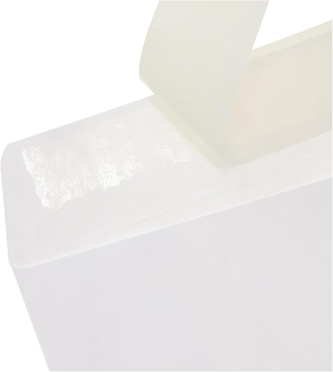 Amazon Basics Catalog Self Seal Envelopes for Documents, Booklets, Mailers, 10x13 Inch, 28 lb, White, 250-Pack