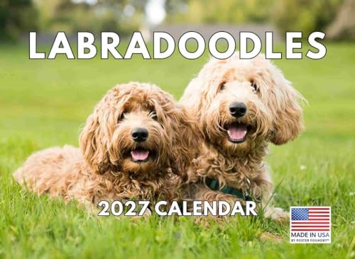 Labradoodle Calendar 2027 Monthly Wall Calender 12 Month
