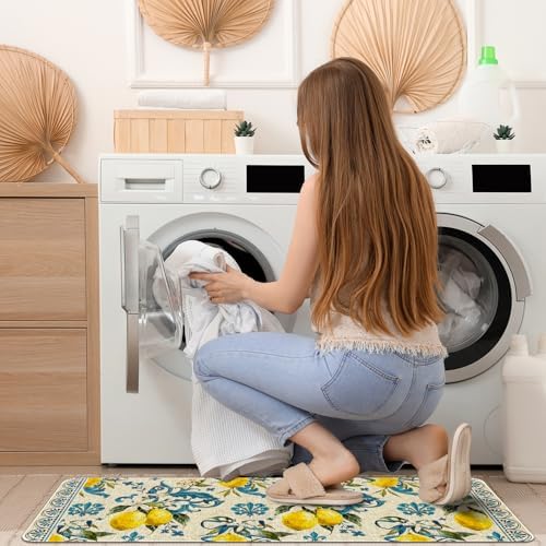 Kitchen Rugs and Mats Set of 2,Floor Mats for Home Kitchen Decor Mat