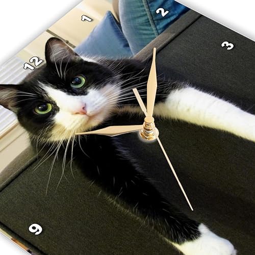 3dRose dpp_23450_3 Black and White Cat with Nothing To-Do Wall Clock, 15 by 15-Inch