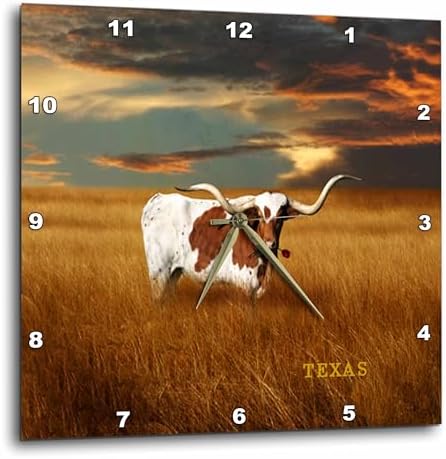 3dRose dpp_62229_1 A Texas Longhorn Wall Clock, 10 by 10-Inch