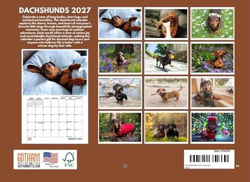 Dachshund Calendar 2027 Monthly Wall Calender 12 Month
