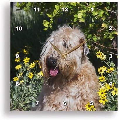 3dRose Wall Clock Silent - 13 inch - Wheaten Terrier Sitting in Yellow Flowers, PR - Animals