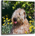 3dRose Wall Clock Silent - 13 inch - Wheaten Terrier Sitting in Yellow Flowers, PR - Animals