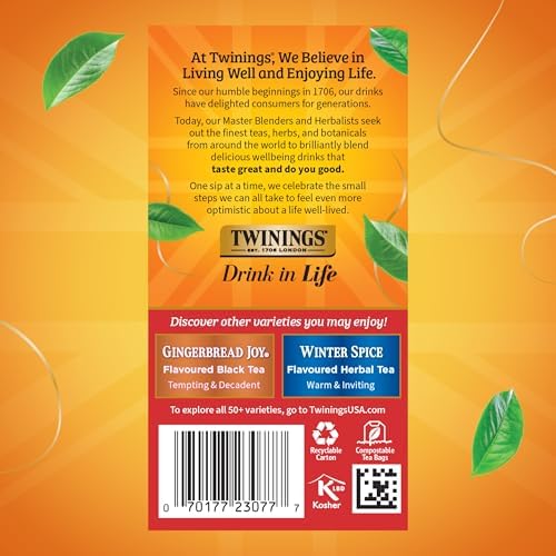Twinings Christmas Tea, Holiday Spiced Black Tea Bags, 20 CT Box (6 Pack)