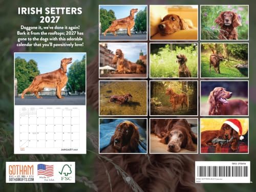 Irish Setter Calendar 2027 Monthly Wall Calender 12 Month