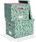 Oterri 2 Pack File Storage Organizer, Document Organizer, Portable File Box with Lid, Fit for Letter/Legal File Folder Storage,Leaf Green-Box only