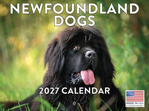 Newfoundland Calendar 2027 Newfie Monthly Wall Calender 12 Month