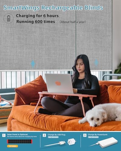 SmartWings Motorized Smart Roller Shades, 100% Blackout Vigor Pale Grey