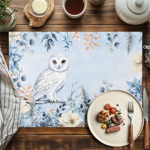 Blue Christmas Placemat 1PC, Winter Snowy Owl Poinsettia Eucalyptus Leaves Heat Resistant Washable Table Place Mats Cotton Table Linens Party Holiday Decor for Kitchen Dining Outdoor Indoor