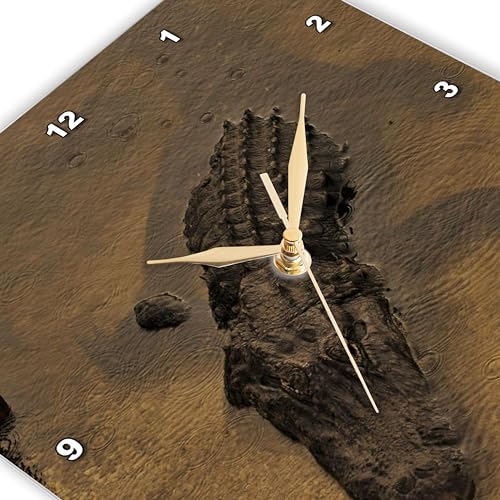 3dRose Wall Clock Silent - 10 inch - Alligator Chilling in the Warm FL Water - Repiles