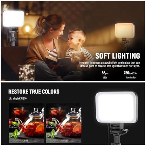 NEEWER Basics 2 Pack LED Video Light Panel Lighting Kit, Bi Color Dimmable Portable Studio Lights with Stands & Filters, 3200K-5600K 750lux CRI95 for Video Recording Live Streaming Photography, BP66
