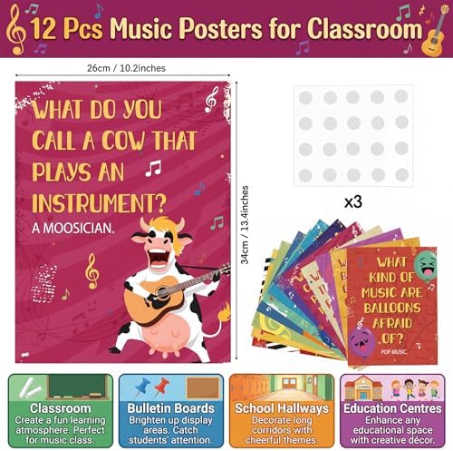 Funrous 12 Pcs Music Posters for Classroom Music Bulletin Board Decoration