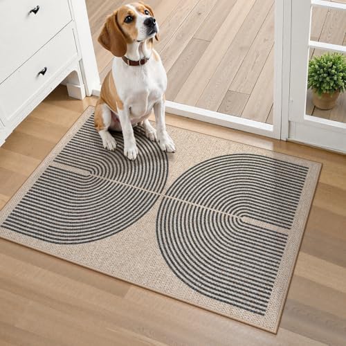 Lahome Rainbow Easy Jute Welcome Mat, 20"x32" Front Door Mat Non Slip