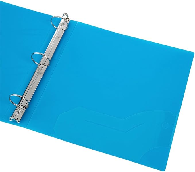 Filexec 50003-6492 6492,1" Frosted Ring Binder,Set of 6,6 Assorted Colors,Blueberry,Strawberry,Grape,Lime,Lemon,Tangerine,(Pack of 8)