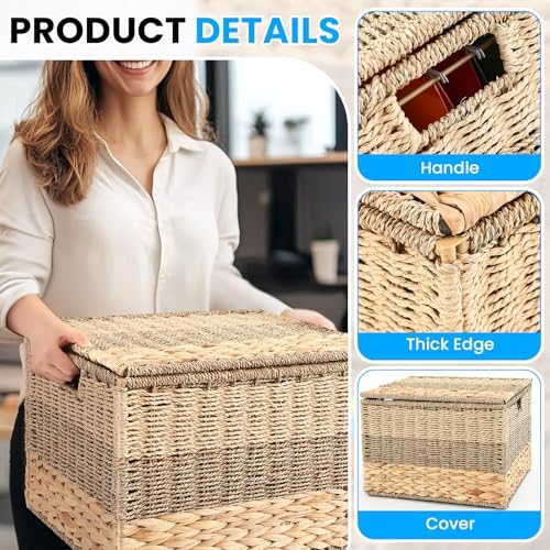 Cinnvoice Extra Large Decorative File Box 18 x 16 x 13 in Wicker Seagrass File Basket Organizer for Letter Legal Size Hand Woven Hanging Filing Cabinet with Lid for Office Water Hyacinth, Tricolor