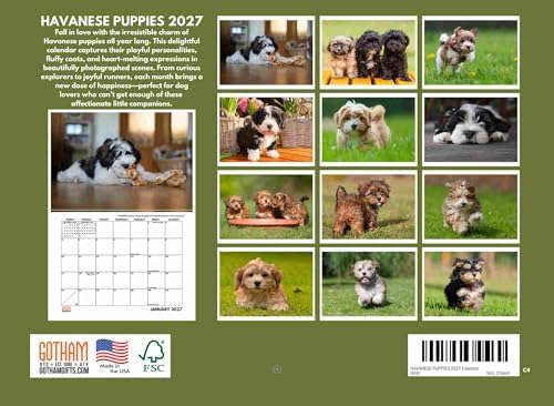 Havanese Puppy Calendar 2027 Monthly Wall Calender 12 Month