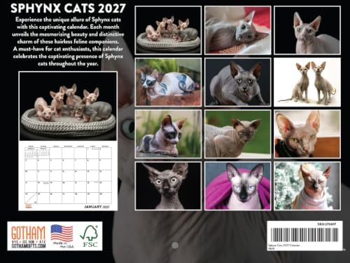 Sphynx Cat Calendar 2027 Hairless Cat Gifts Monthly Wall Calender 12 Month