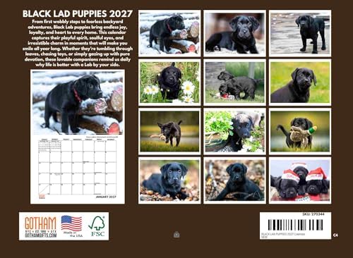 Black Lab Puppy Calendar 2027 Labrador Puppies Monthly Wall Calender 12 Month
