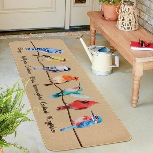Percozzi Bird Kitchen mats Set of 2, Robin Cadinal Door mat Indoor Outdoor Rug, Hummingbirds Cardinal Kitchen Floor Mat Decor 17x29 and 17x47 Inch
