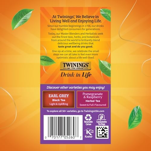 Twinings Blackcurrant Breeze Black Tea Individually Wrapped Bags, 20 Count (Pack of 1), Sweet, Tangy Taste, Caffeinated, Enjoy Hot or Iced, 20 Teabags