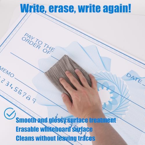 Penitue 33x14in Oversized Fake Check Award for Presentations (Style 4)