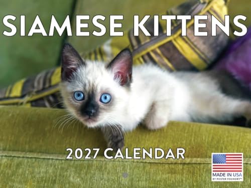 Siamese Kitten Calendar 2027 Cat Monthly Wall Calender 12 Month