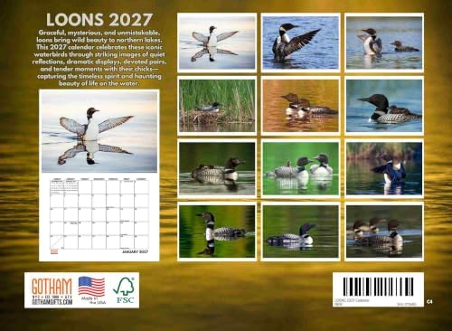 Loons Lake Birds Wildlife Photography 2027 Wall Calendar