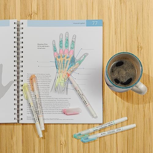 Zebra Pen MILDLINER Brush Pen, Assorted Fluorescent Colors, Dual Tip, 5-Pk