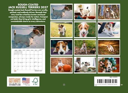 Jack Russell Rough Broken Scruffy Coat Calendar 2027 Monthly Wall Calender 12 Month