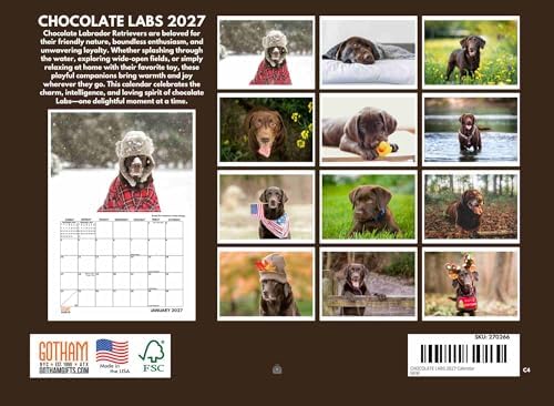 Chocolate Lab Calendar 2027 Labrador Retriever Monthly Wall Calender 12 Month