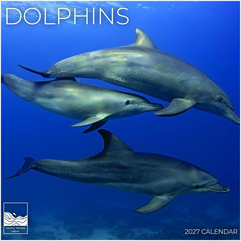 Dolphins 2027 Wall Calendar, 12 x 24 Hanging Pacific Waters Press