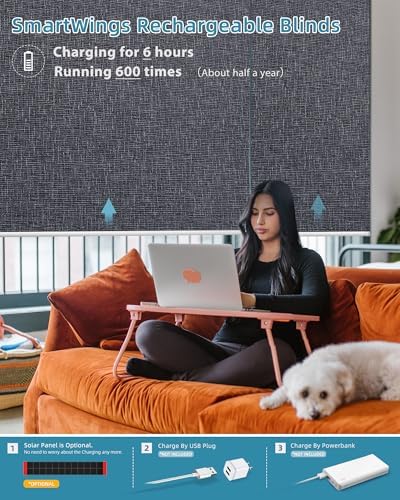 SmartWings Motorized Smart Roller Shades, 100% Blackout Eclipse Charcoal