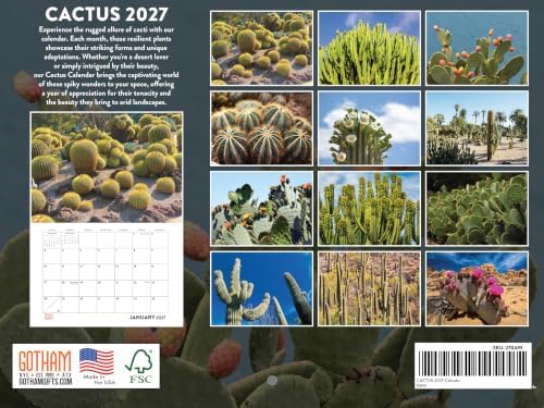Cactus Calendar 2027 Monthly Wall Calender 12 Month