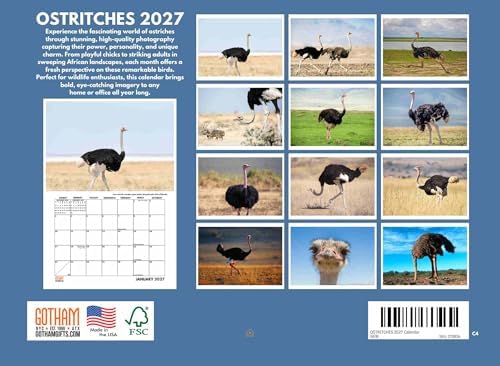 Ostrich Calendar 2027 Monthly Wall Calender 12 Month