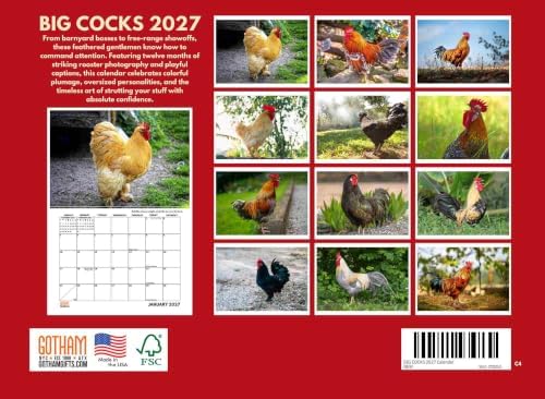 Big Cocks Calendar 2027 Rooster Monthly Wall Calender 12 Month