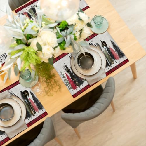 Placemats 12x18 Inch Washable Linen Place Mats Cloth Tables Mats