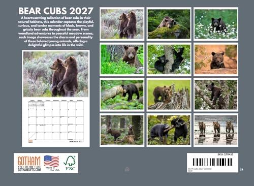 Baby Bear Cubs Calendar 2027 Monthly Wall Calender 12 Month