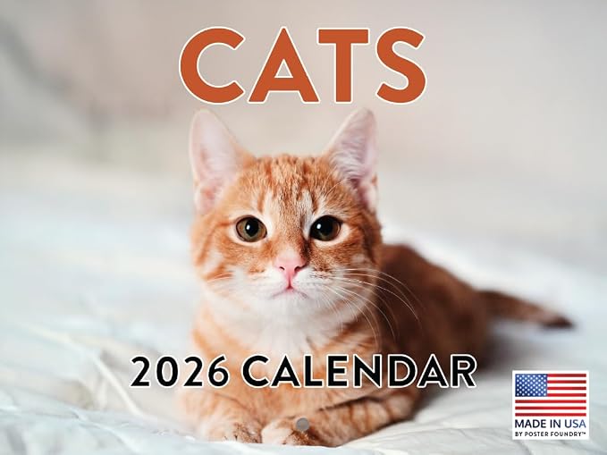 Cat Calendar 2026 Monthly Wall Calender 12 Month Cats Gifts For Cat Lovers | American Made In The USA
