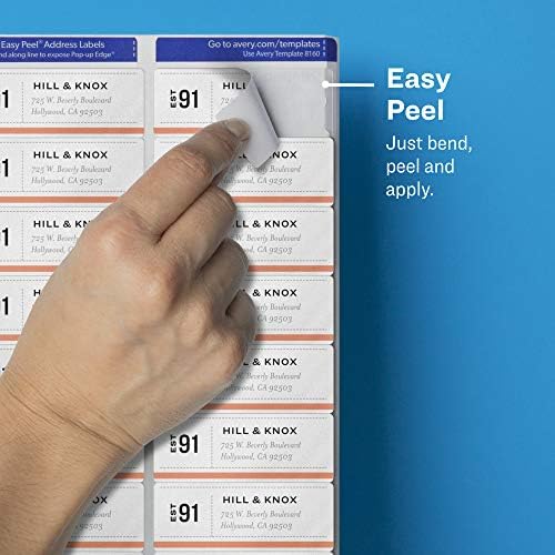 Avery Printable Address Labels with Sure Feed, 1" x 2-5/8", Matte Clear, 300 Blank Mailing Labels (18660) (Pack of 2)