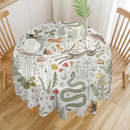 Country Forest Tablecloth, Wild Animal Hare Squirrel Owl Snake Snail Flowers Mushroom Table Cover for Tea Party Weddings Indoor Outdoor Dining, 70x70in