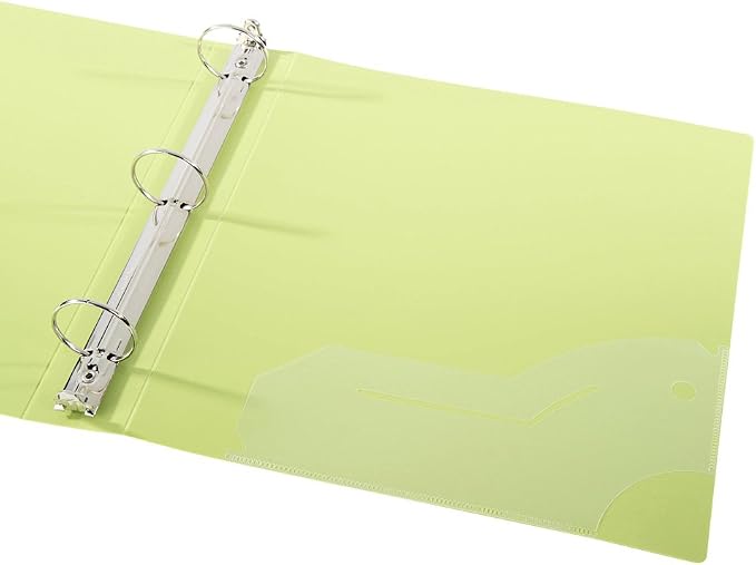 Filexec 3-Ring Binder, 1", Neon (50573-64970) - 12 Pack, Blue, Hot Pink, Purple, Green