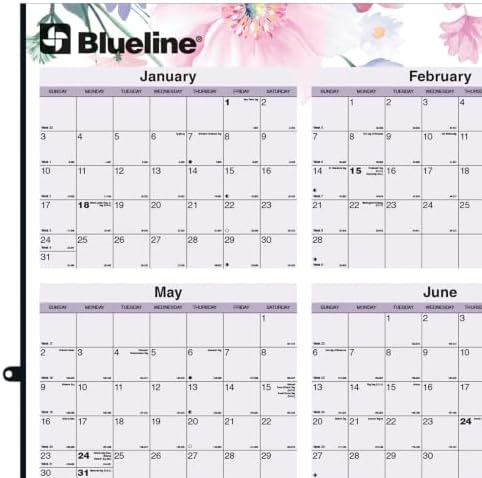 Blueline® 2027 Colorful Yearly Wall Calendar and Planner, Erasable/Laminated, 12 Months, January to December, Reversible - Horizontal/Vertical, 24" x 36", Passion (C171920)