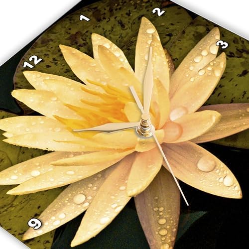 3dRose Wall Clock Silent - 10 inch - Yellow Lotus Flower - Photography Flower