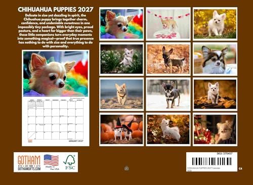 Chihuahua Puppies Calendar 2027 Monthly Wall Calender 12 Month