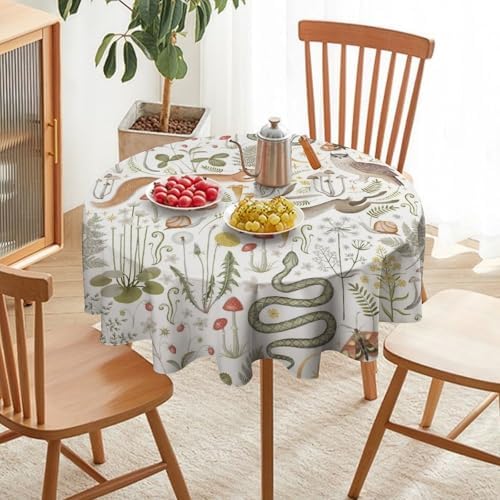 Country Forest Tablecloth, Wild Animal Hare Squirrel Owl Snake Snail Flowers Mushroom Table Cover for Tea Party Weddings Indoor Outdoor Dining, 50x50in