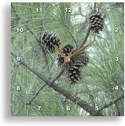 3dRose dpp_23812_2 Pine Cones Wall Clock, 13 by 13-Inch
