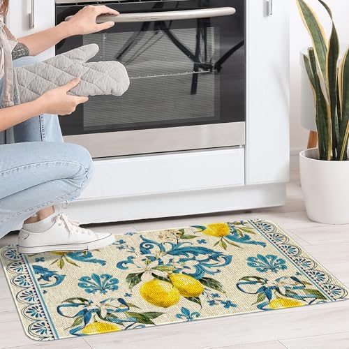 Kitchen Rugs and Mats,Washable Non-Slip Floor Mats Door Mat