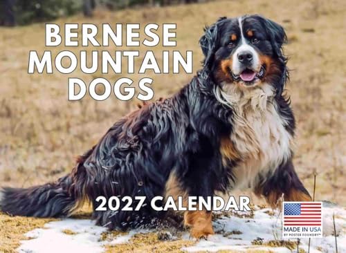 Bernese Mountain Dog Calendar 2027 Monthly Wall Calender 12 Month