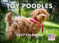 Toy Poodle Calendar 2027 Monthly Wall